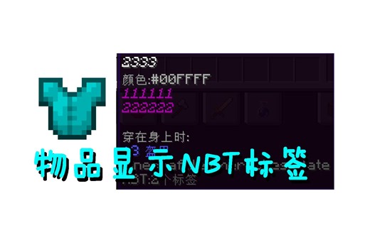 [我的世界]物品显示NBT标签
