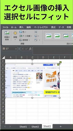 選択範囲内に画像を挿入する #エクセル #excel #業務効率化 #事務職 #仕事効率化