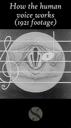 Ancient Footage Reveals How Sound Is Actually Made #history #educational