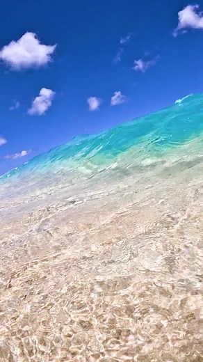 Crystal clear tropical waters! #ocean #oceanwaves #surf #clearwater #bluewater #tropicalvibes #beachlife #reels | Dgphotography