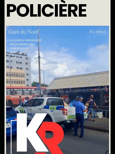 opération policière à la gare du nord ce matin