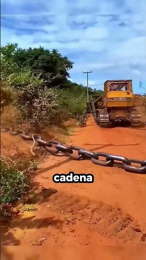 El Poder Destructivo de la Tecnología de Deforestación Ultra Rápida