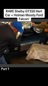 RARE Shelby GT350 Hert Car Holman Moody Ford Falcon! Part 1 #shelby #gt350 #hertcar #holman #moody #ford #falcon #barnfind #foryou #fyp #hagerty | Emregunes735
