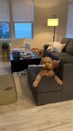 the last sunday clean of 2024 🎶🫧🧺🧼🎧 #sundayreset #sundaycleaning #cleantok #cleanwithme #asmrcleaning #cleaningmotivation #asmrsounds #satisfyingvideo #apartmenttherapy