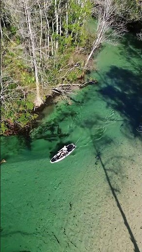 Brooklyn 10.5 Pro Single Pedal Kayak (PK11) cruising in clear water! #kayaking #kayak