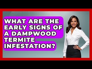 What Are The Early Signs Of A Dampwood Termite Infestation? - Insects and Invaders