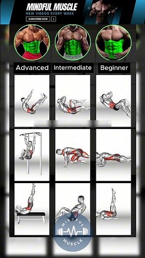 Killer Abs Workout: Beginner to Advanced Core Exercises (No Equipment/Gym)