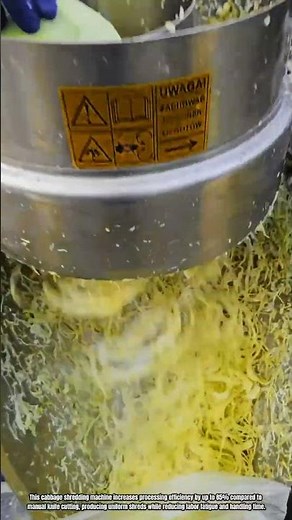 Best Innovation Vegetable Processing Machine: How to Shred Cabbage Fast and Uniform
