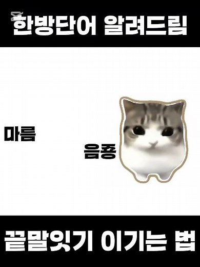 약간 이상한 끝말잇기 이기는 법 #끝말잇기 #승리 #방법 #한방단어 #떡상제발 #고양이 #밈