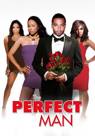 The Perfect Man (2011)