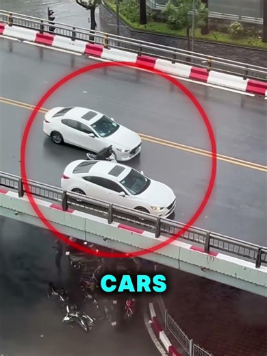 Drivers Shield a Motorcyclist From Strong Typhoon Winds ❤️