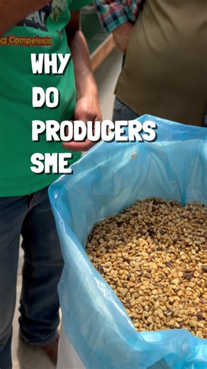 There’s a lot you can learn about coffee just by smelling it. For producers, aroma shows how the coffee is doing long before they can see any changes. A clean, fresh smell means the drying is moving smoothly. A strange smell tells them something shifted. After years of doing this every season, they can pick up tiny changes most of us would miss. It looks simple, but it’s one of the most reliable ways to keep quality on track from day one. #coffee #organiccoffee #coffeefarm #LatinAmerica #coffeef