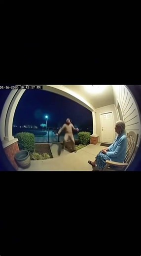 Fearless Cat Attacks Masked Robber