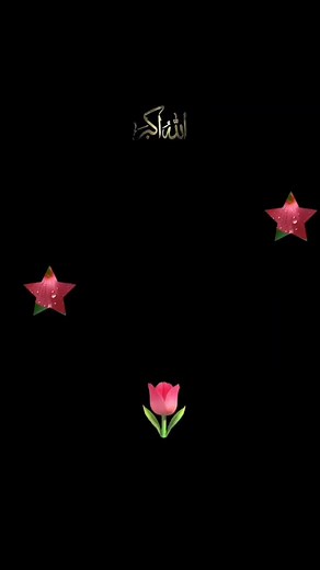 Humera Azhar on Reels