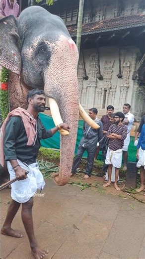 ഷാജി പാപ്പനും മണികണ്ഠനും...........