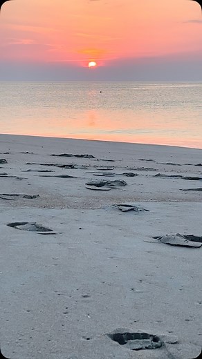 Good morning from the beach. | Amanda Flower