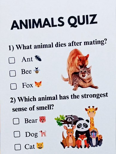 Test Your Knowledge with this Fun Animals Quiz
