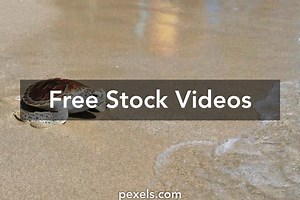 Shells Videos, Download The BEST Free 4k Stock Video Footage & Shells HD Video Clips