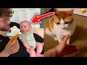 Funny TikTok Video Compilation