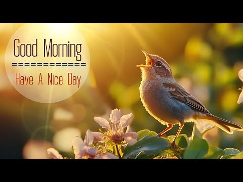 POWERFUL MORNING MUSIC - Positive Feelings and Energy - Morning Meditation & Gentle Wake Up Music