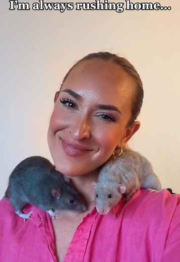 Best Pet Rats: Fun Facts and Care Tips You Need