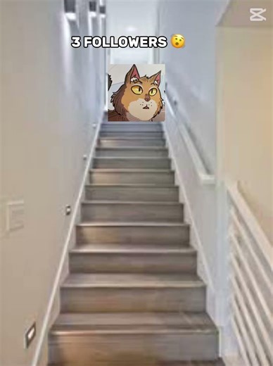 Brackenfur does tictok #warriorcats #brackenfur