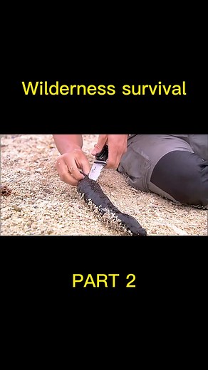 #wilderness #survival