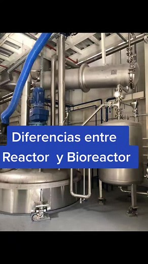 Differences Between Reactor and Bioreactor Explained