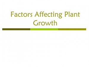 Factors Affecting Plant Growth - SlideServe