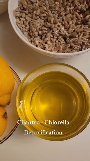 Cilantro - Chlorella DETOX Protocol • Start slowly: 1 teaspoon of Cilantro blend → 1 tablespoon, once or twice daily depending on your sensitivity • Take chlorella on an empty stomach or 20–30 minutes before meals • Follow the protocol 2 weeks on, then 1 week off • Repeat cycles as needed #detoxbody #sarasota #detox #health #shorts #healthyfood #healthyliving #healthytips #healthylifestyle #healthcare #chlorella #cilantro | Galina Cupples | Facebook