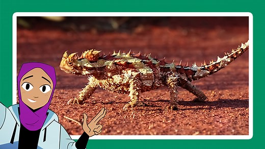 How does climate change affect living things? - KS2 - The Regenerators - BBC Bitesize