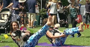 Weird and wonderful yogas you can try | The New Daily