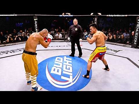 Cung Le - The San Shou Champion Who Became an MMA Star