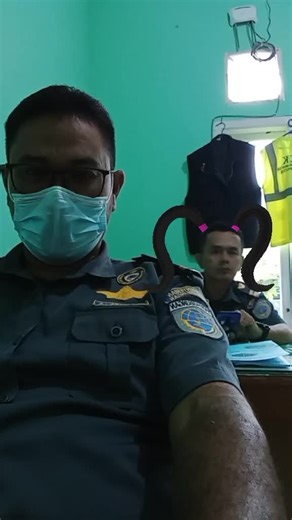 Understanding Security Personnel Uniforms and Roles