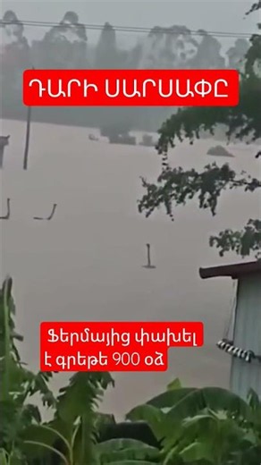 Ֆերմայից փախել է գրեթե 900 օձ, այդ թվում՝ թունավոր կոբրաներ։ ԴԱՐԻ ՍԱՐՍԱՓԸ