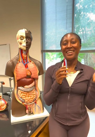 Anatomy ID Challenge: Mannequin Structures for Pre-Nursing Students