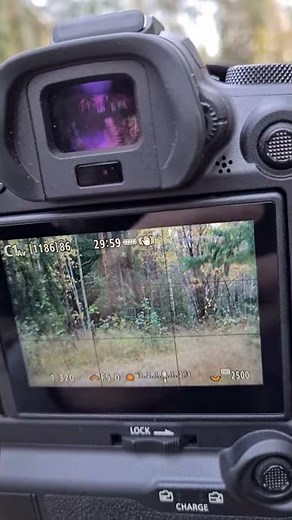 canon r6 with tamron 150-600 g2 problem 2