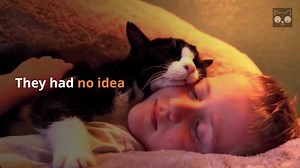 A family adopted a 20 year old cat from the shelter and they never expected how much love he had left to give... you can read more here: https://goo.gl/yZvqJf | I iz cat