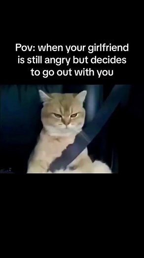 Pov: When Your Angry Girlfriend Goes Out with You