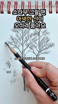 How to Draw Pine Trees: Urban Sketching Tips