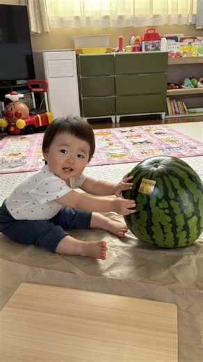 今日は金色羅皇というスイカをいただいたので おやつの時間に美味しくいただきました🍉🧡 ちゃんひかのお顔より大きい😳✨ 続編はInstagramに🎥 動画が長い時は２つに分けます😆💞 #ちゃんひか #おやつの時間 #子供のいる生活 #子供のいる暮らし #かわいい動画