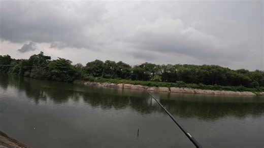 Understanding Fishing Challenges with Uncatchable Monsters