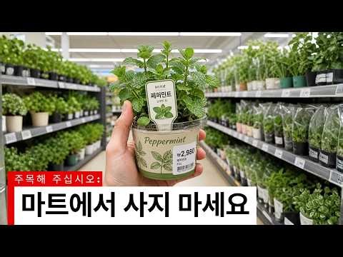 한국인이 직접 키울 수 있는 식물 30가지 (마트에서 사지 마세요)