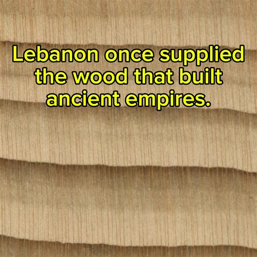 #lebanon #ancient #didyouknow #historytok #interestingfacts