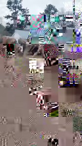 Baby deer visits his human mom every day — and grows the cutest little antlers! ❤️ | The Dodo