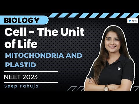 Cell: The Unit of Life | Mitochondria and Plastid | Seep Pahuja | Unacademy NEET