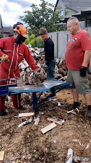 #wood Log splitter