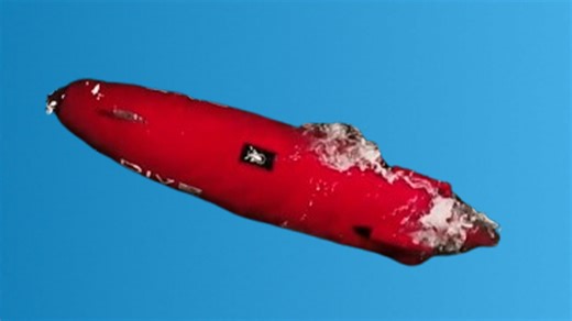 Inside Australia's $1.1B Ghost Shark Drone Fleet