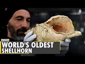 Scientists test world’s oldest conch shell horn in France | France News | English News | WION