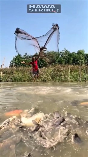 Ultimate Skill: Perfect-Accuracy Net Casting! #shorts #fish #fishing #amazing #trending #viralvideo